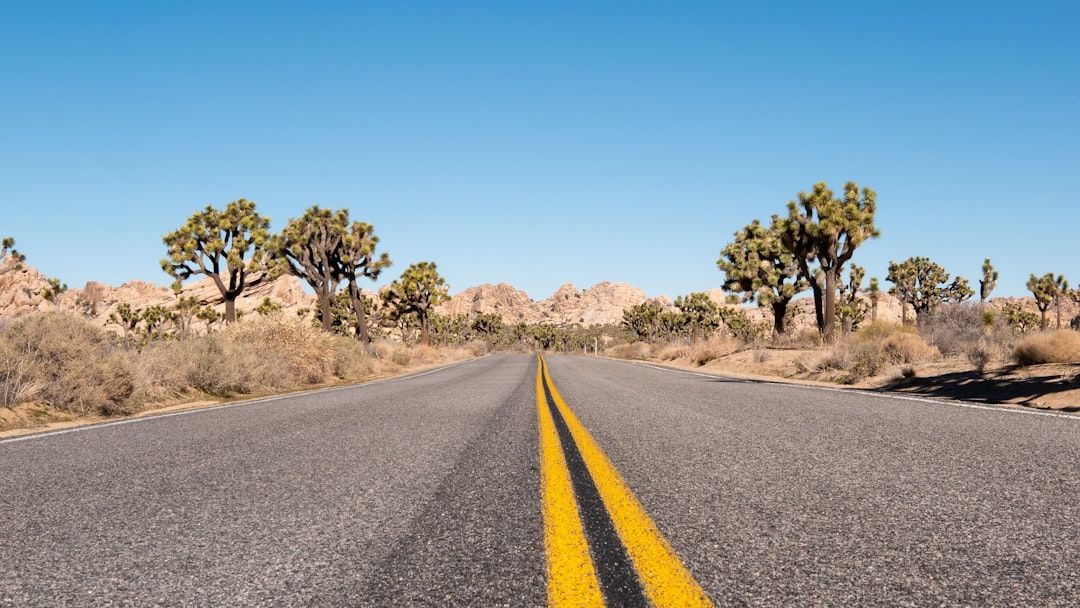 Coast, north in Joshua Tree